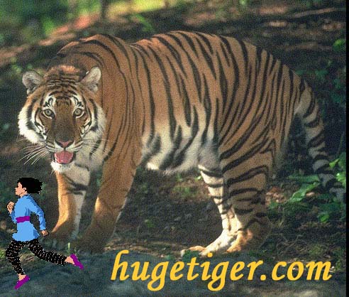 HugeTiger.com