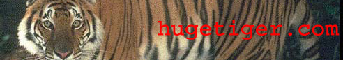 HugeTiger.com
